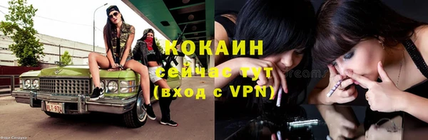 PSILOCYBIN Новодвинск