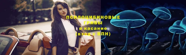 Альфа ПВП Медногорск