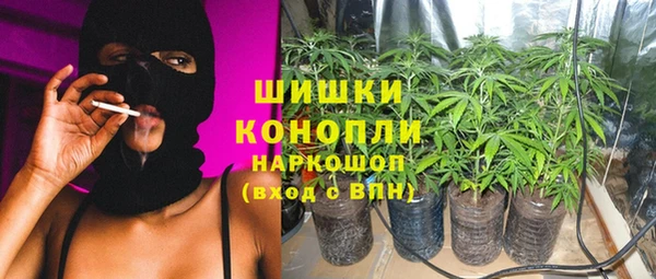 прущие грибы Медвежьегорск