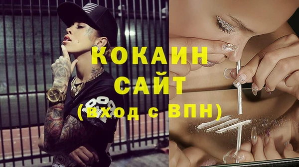 тгк Няндома
