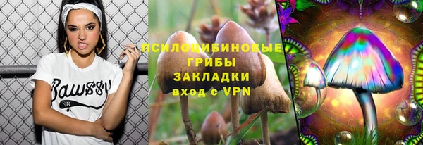тгк Няндома