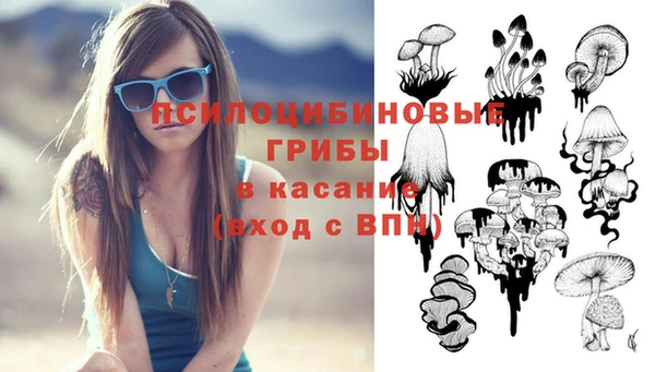 тгк Няндома