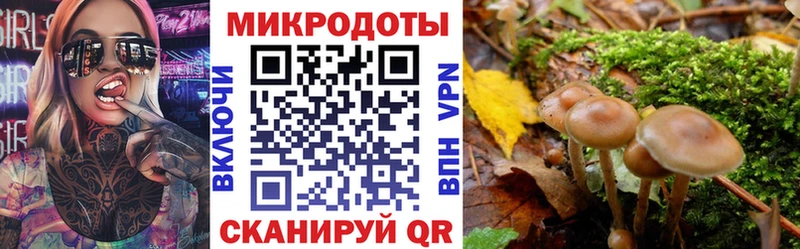 Галлюциногенные грибы мухоморы  OMG   Нижняя Салда  как найти закладки 